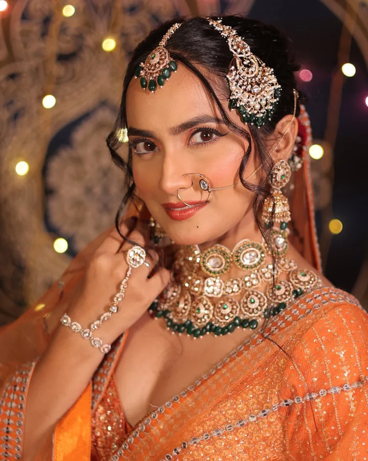 Aetashaa Sansgiri Marriage