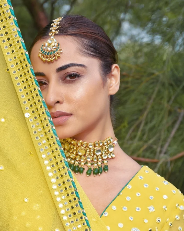 Niyati Fatnani Marriage