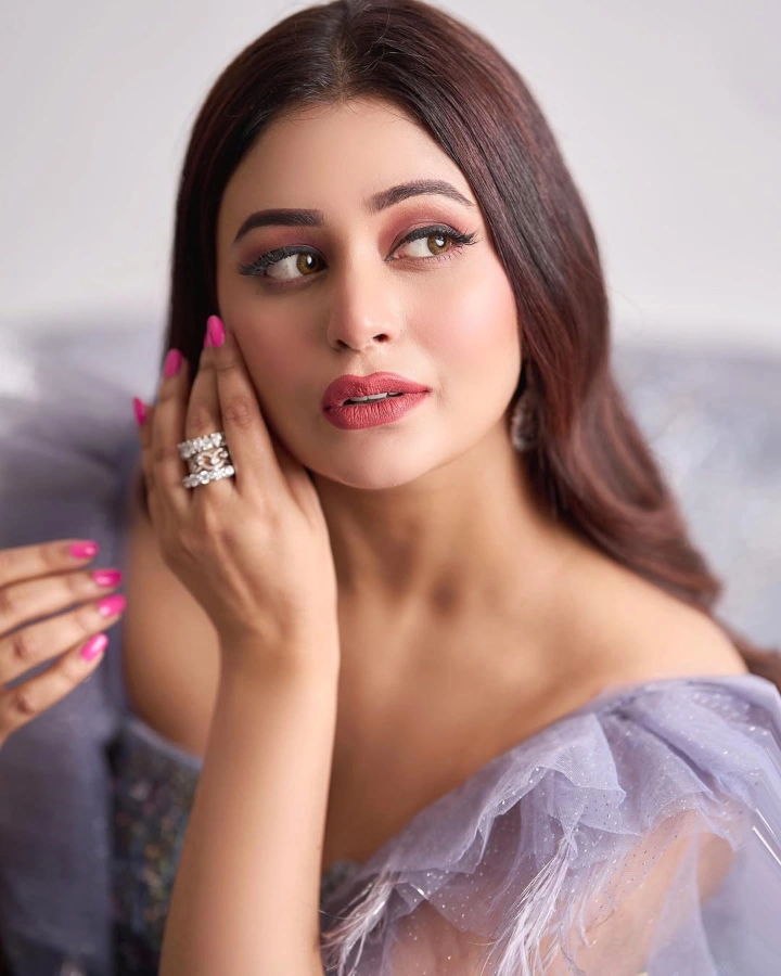 Ritabhari Chakraborty Marriage