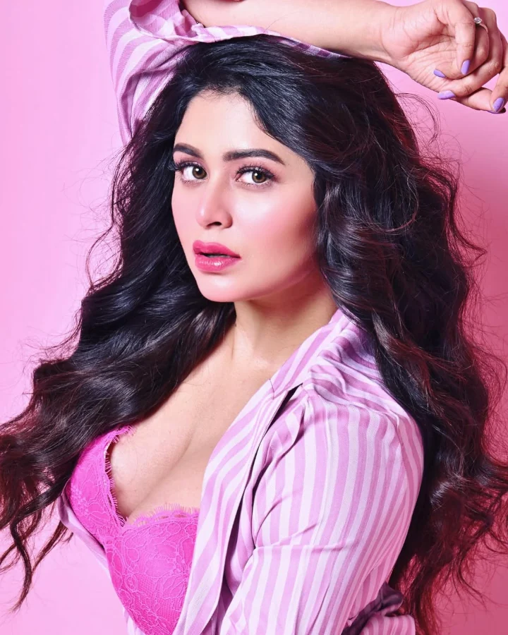 Ritabhari Chakraborty Web series