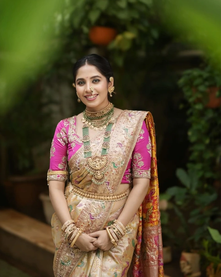 Sanika Kashikar Marriage