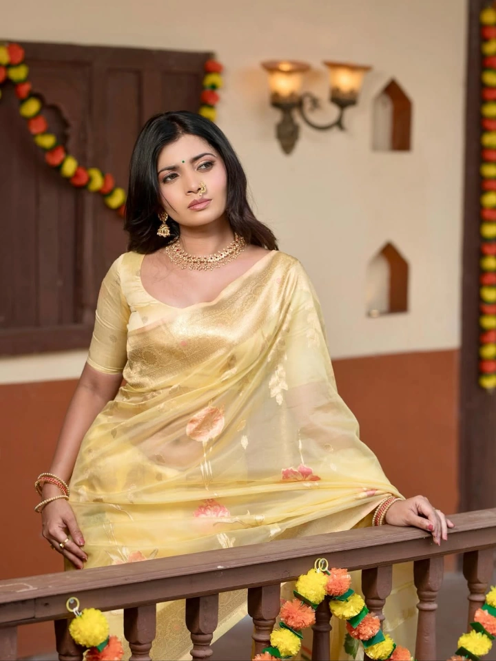 Ruchira Jadhav Saree Image