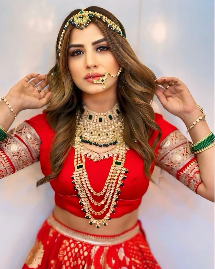 Bhumika Gurung's Fabulous Indian Look