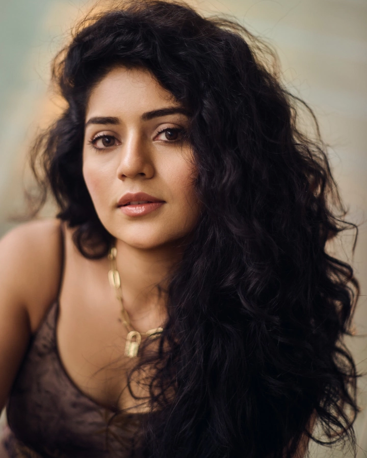 Megha Shetty Movie List