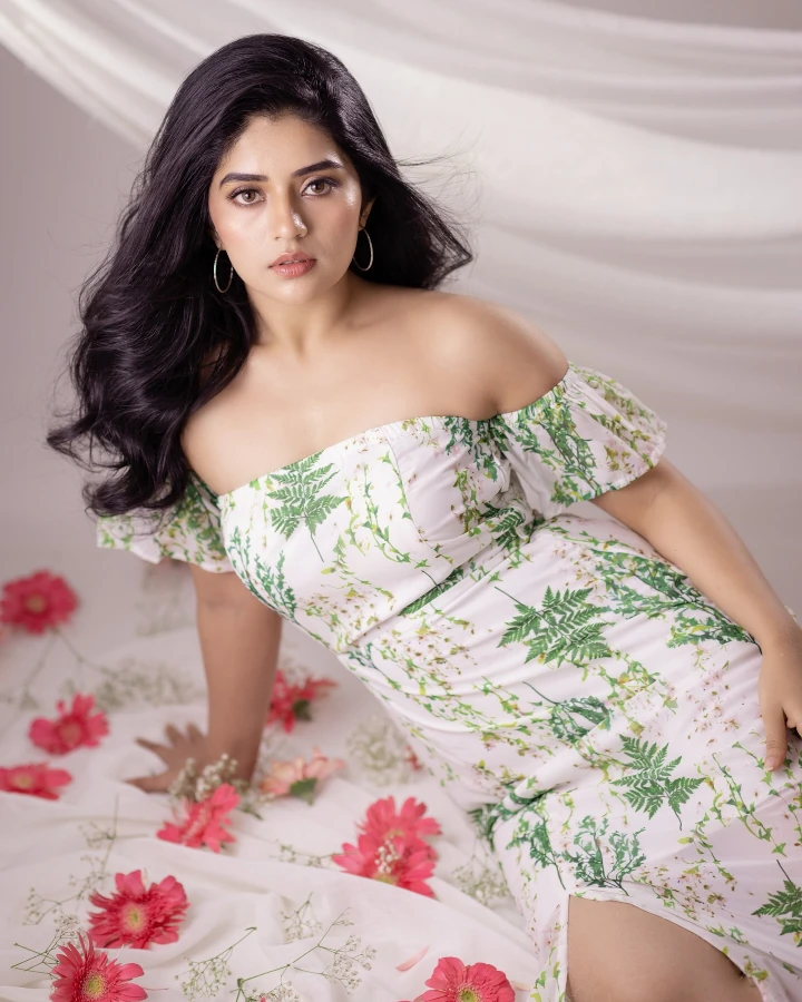 Megha Shetty's Prettiest Looks Ever