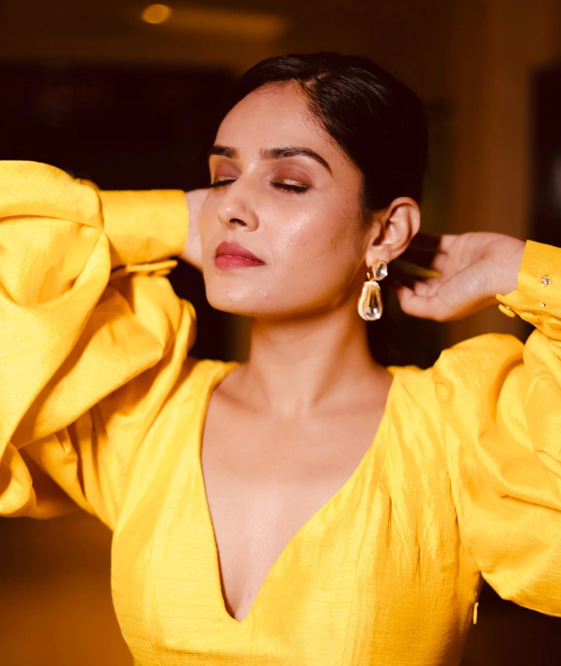 Pallavi Patil Television Serial