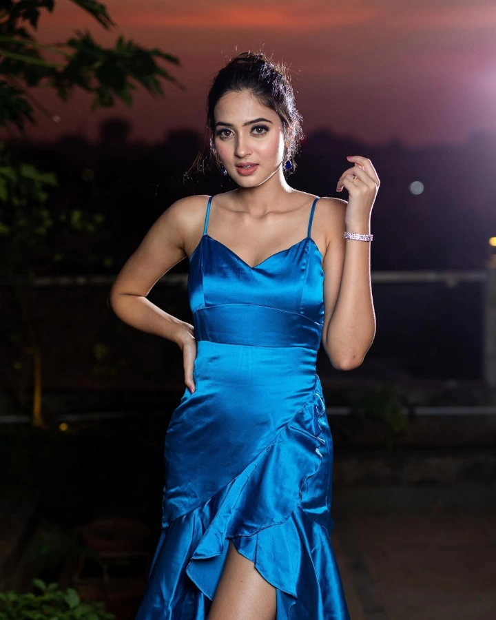 Vidula Chougule Model