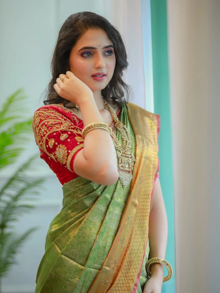 Vidula Chougule Saree Image