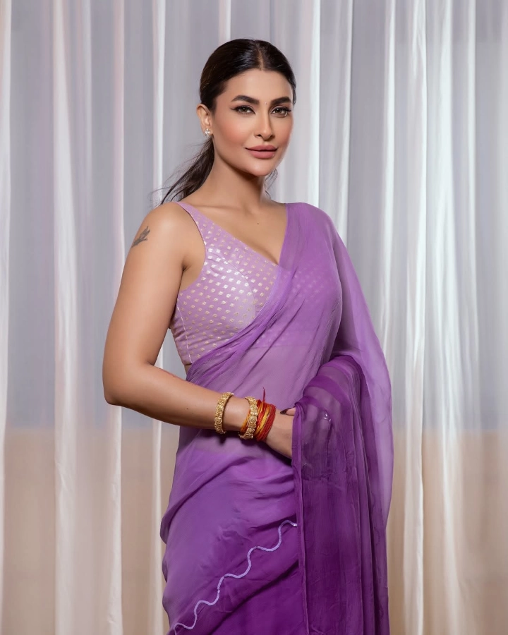 Pavitra Punia Saree Image