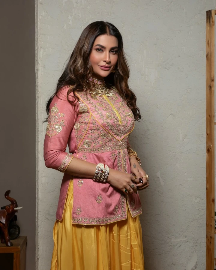 Pavitra Punia has an Indian Nationality