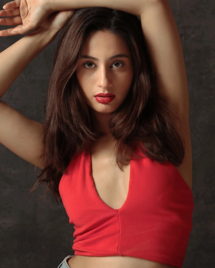 Prasanna Bisht Television Serial