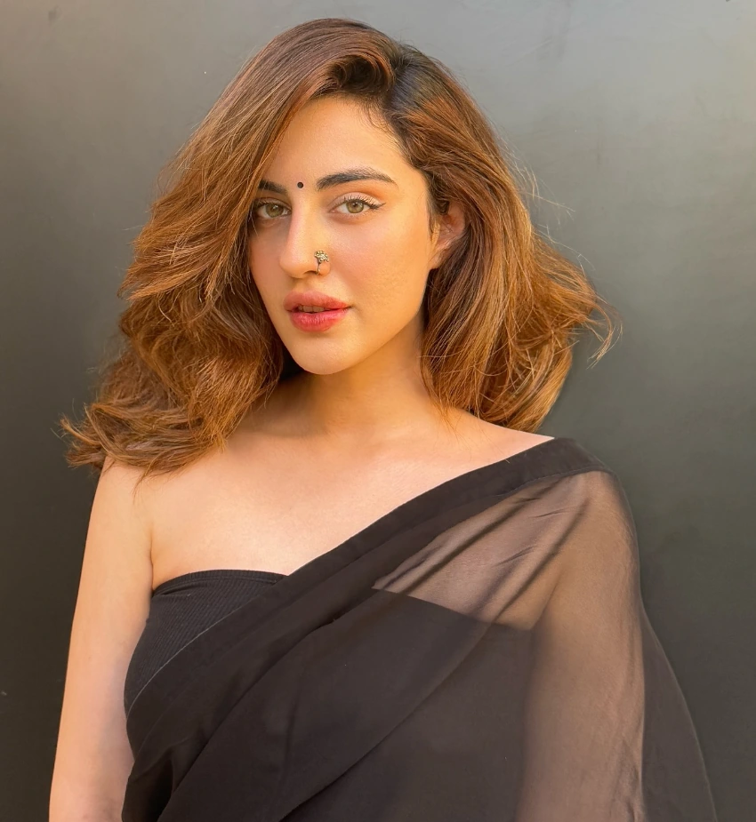 Samreen Kaur in Beautiful Black Saree
