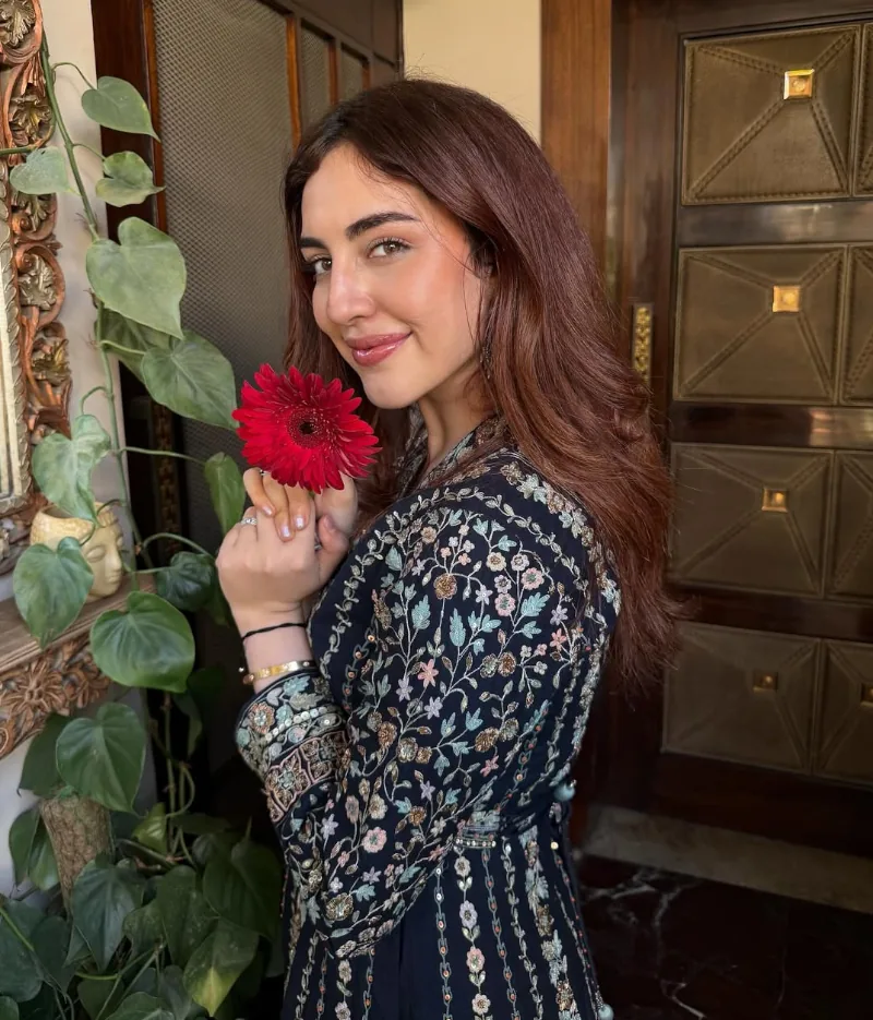 Samreen Kaur in Various Punjabi Films