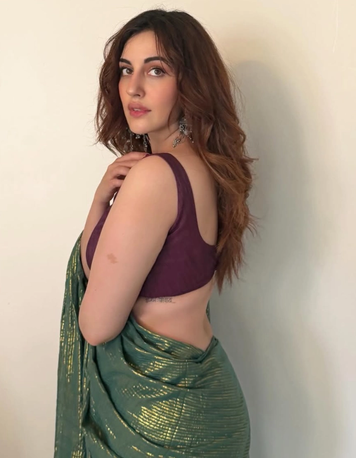 Samreen Kaur in an Extremely Lovely Saree
